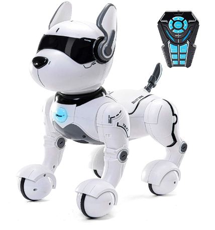 robot dog