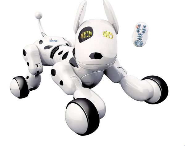 robot dog