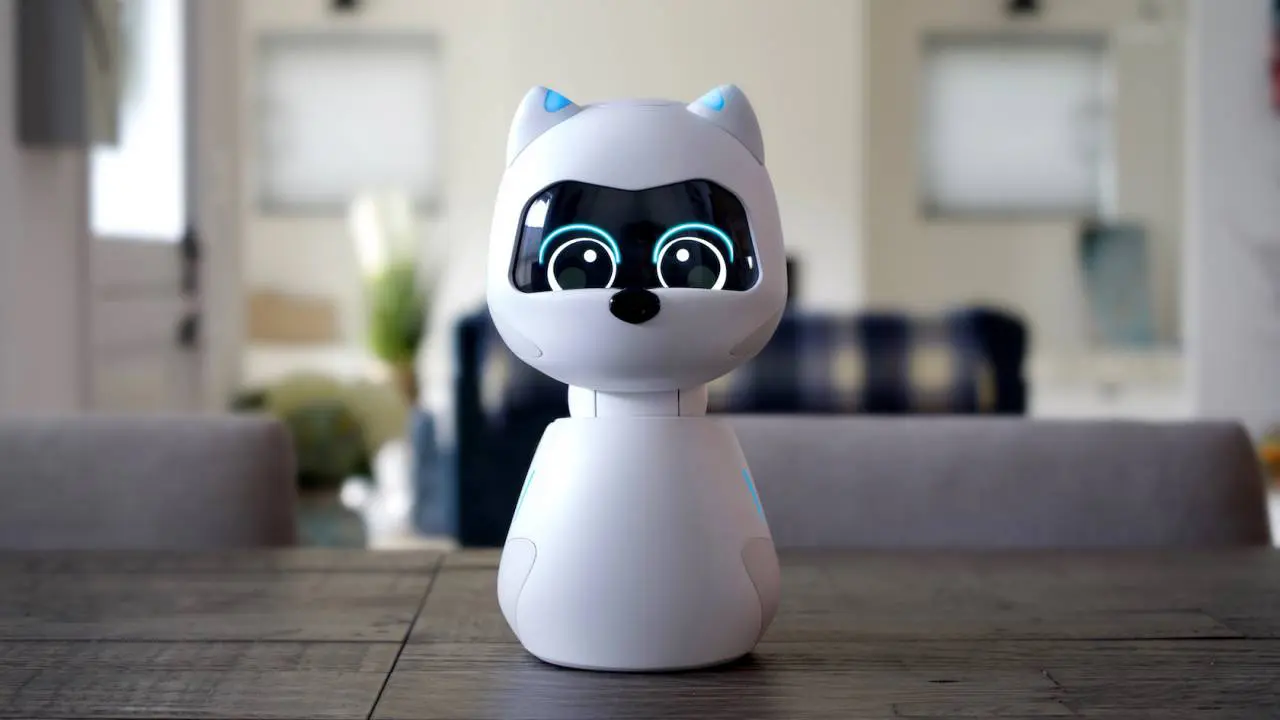 Robot Code Cat The Ultimate Guide To Robot Cat - Robotsjudge